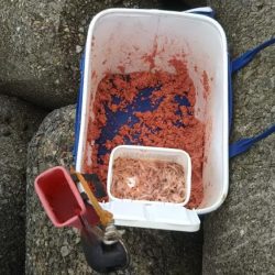 テトラふかせでコッパぐれ